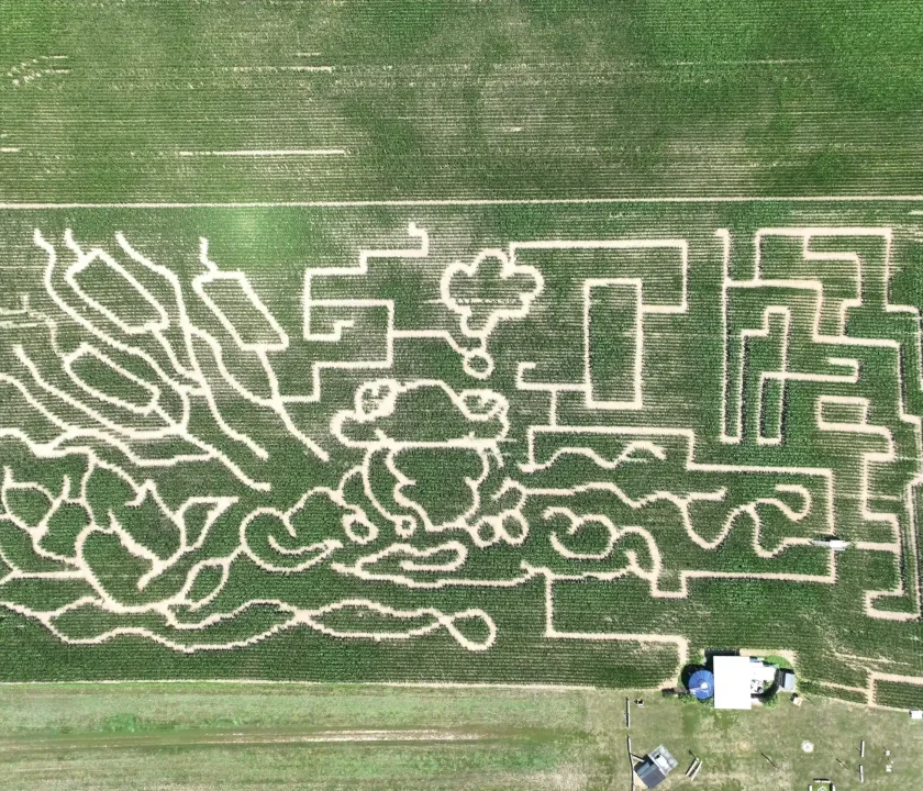 dji_fly_20260723_123802_115_1784824707929_photo